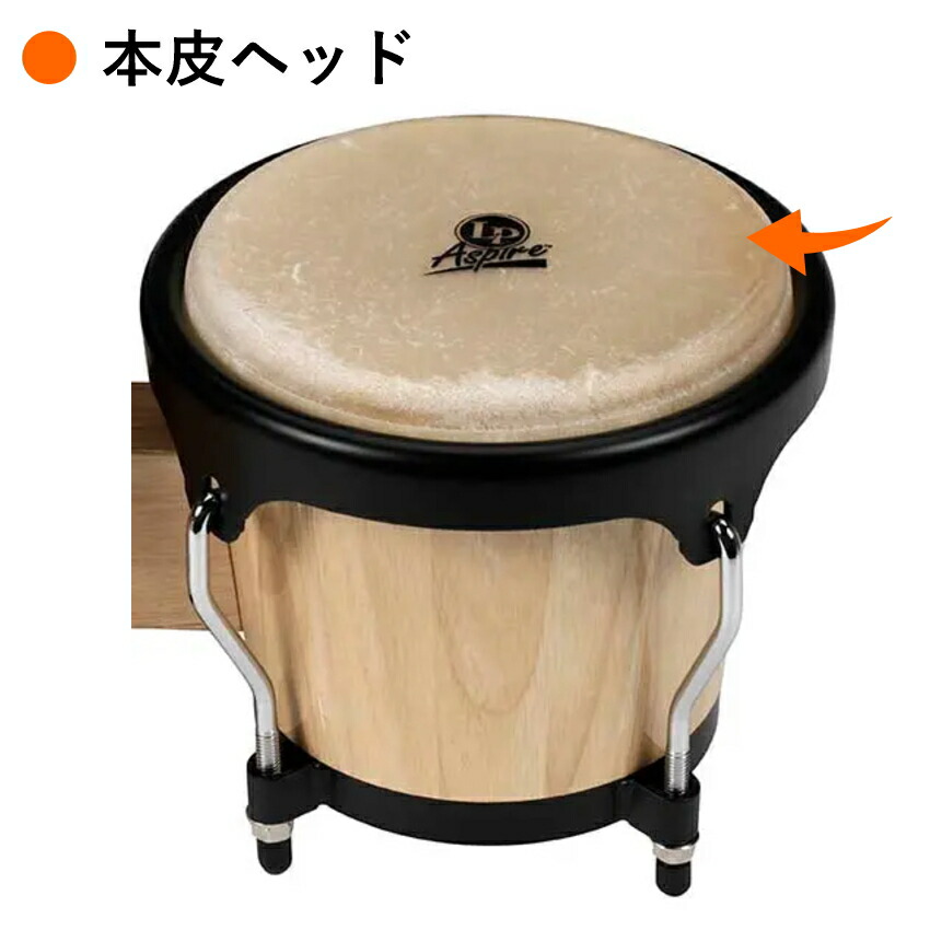 楽天市場】LP ラテンパーカッション ウッドボンゴ 楽器 両手で叩く