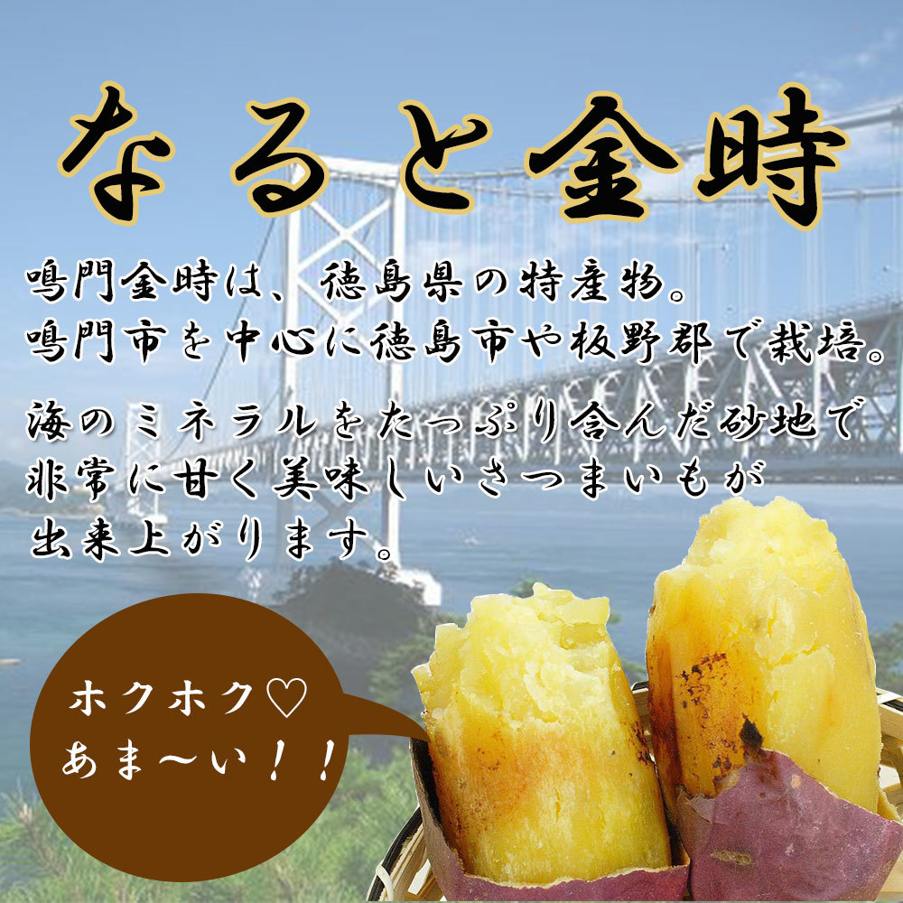 楽天市場】鳴門金時 L〜2L 徳島県産 なると金時 金時芋 さつまいも