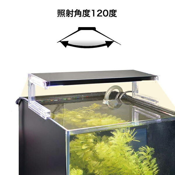 楽天市場】ゼンスイ 超薄型 LEDランプ 45cm水槽用 ホワイト nano LeviL