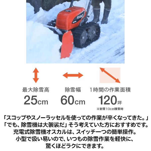 楽天市場】【1日は！枚数限定 最大1,000円OFFクーポン】【法人様限定