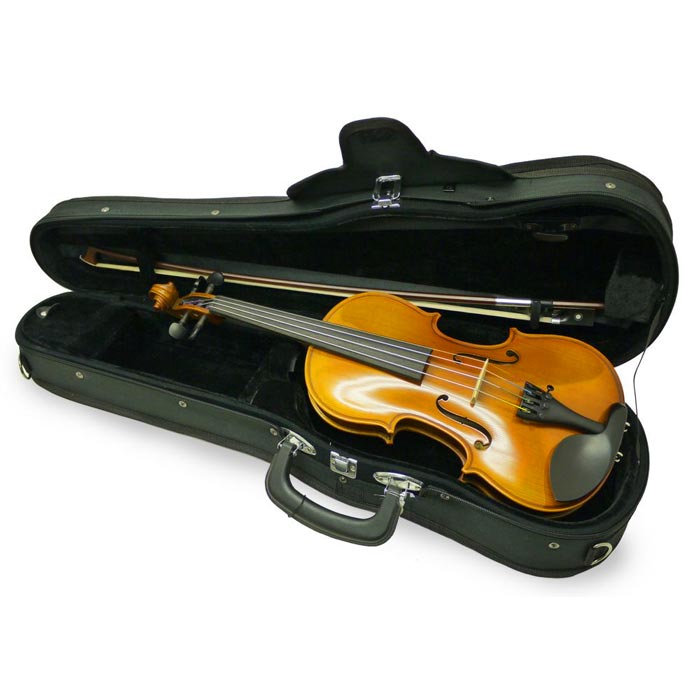 楽天市場】分数ヴァイオリンセット Eastman（イーストマン）VL80