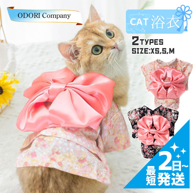 楽天市場】猫用 浴衣 夏服 にゃんこ コスプレ 夏きもの かわいい