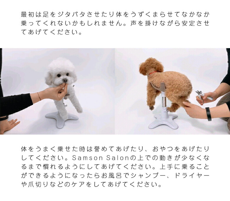 楽天市場】samson salon サムソンサロン 小型犬 美容チェア ペット 犬