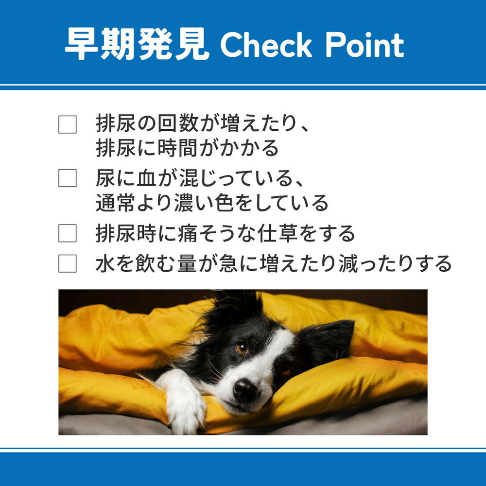 楽天市場】ベッツウェル 犬用食事療法食 下部尿路ケア 3kg 関東当日