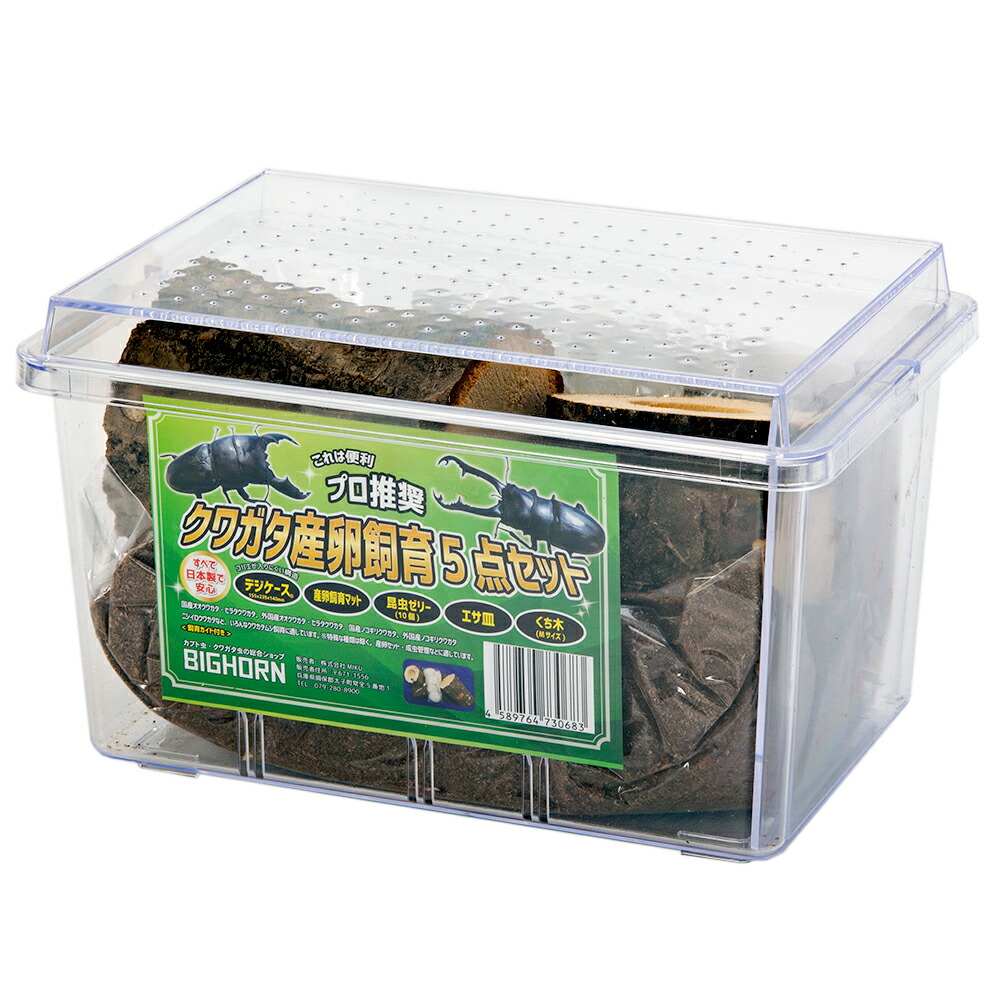 楽天市場】クワガタ産卵飼育 5点セット 関東当日便 : charm 3980 楽天