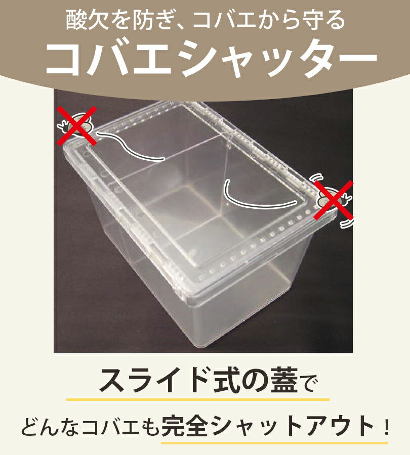 楽天市場】飼育ケース パーテーションケース コバエシャッター