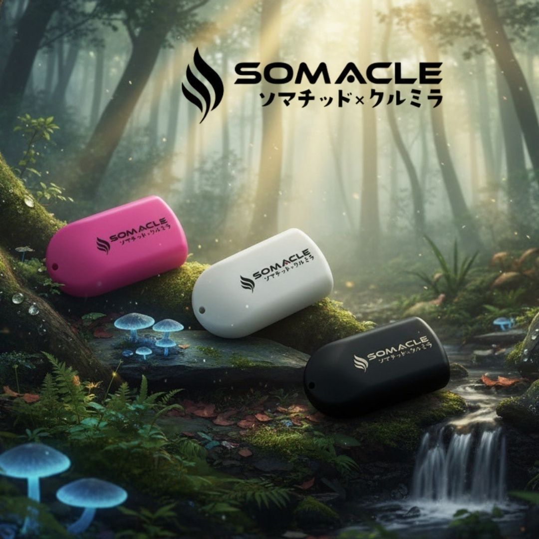 楽天市場】【在庫有☆3月1日ポイント11倍+今だけ腸活米3個☆】SOMACLE