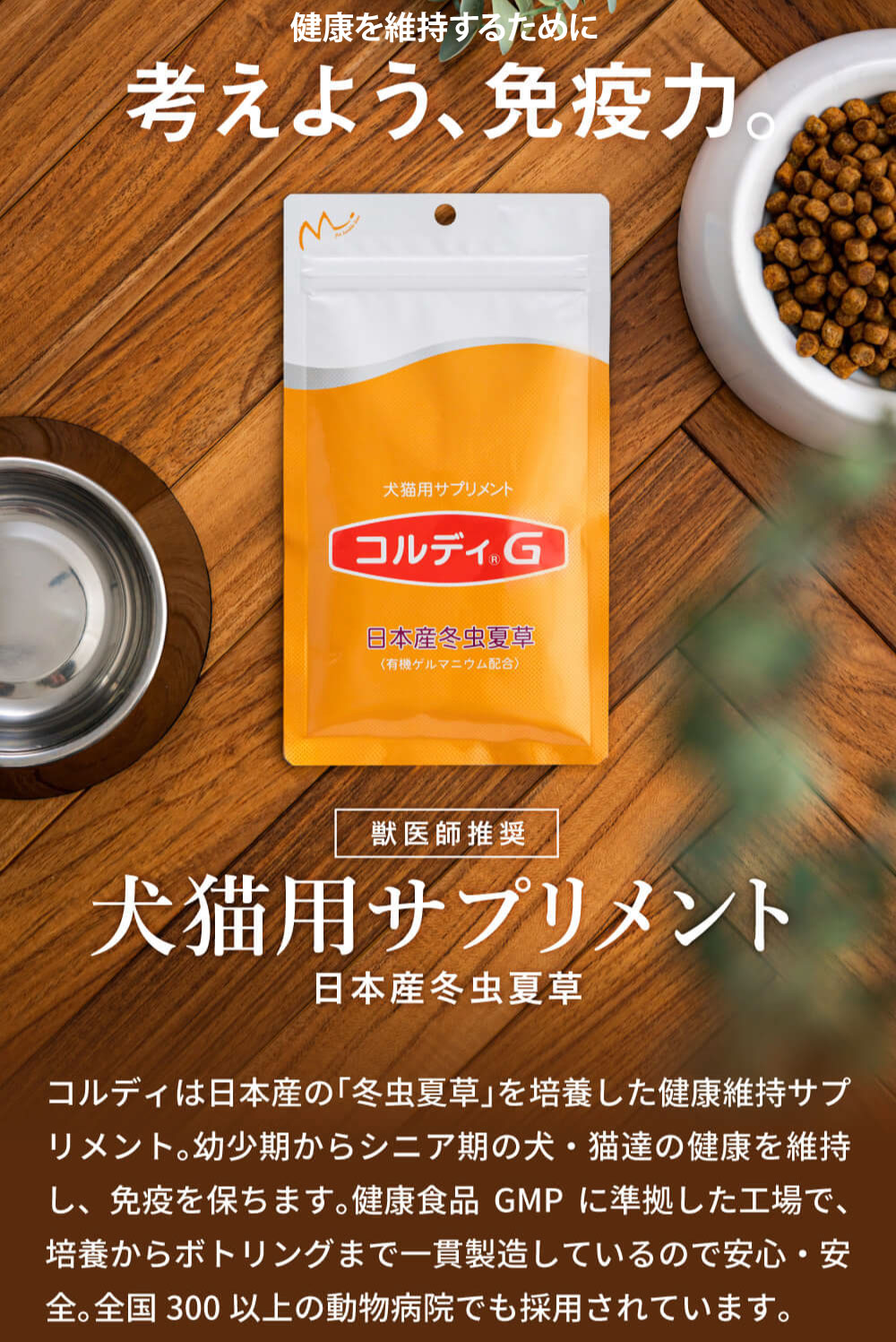楽天市場】＼スーパーSALE割引&ポイント5倍！／【”何かしてあげたい”に