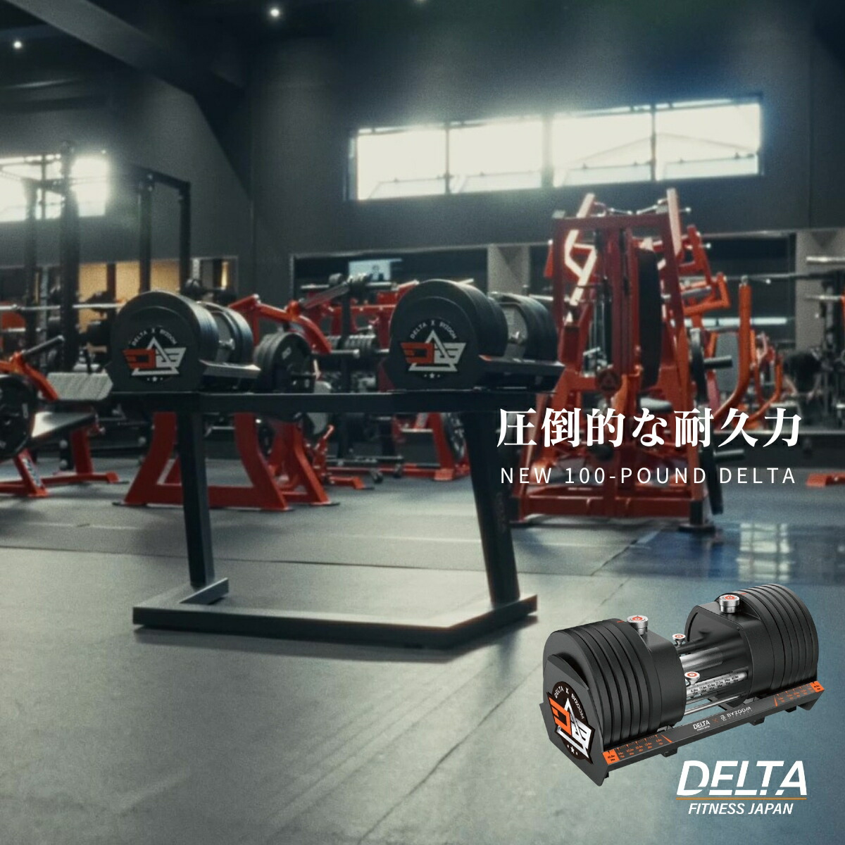 楽天市場】【スタンドなし→現在20％OFF価格】2年保証 DELTA