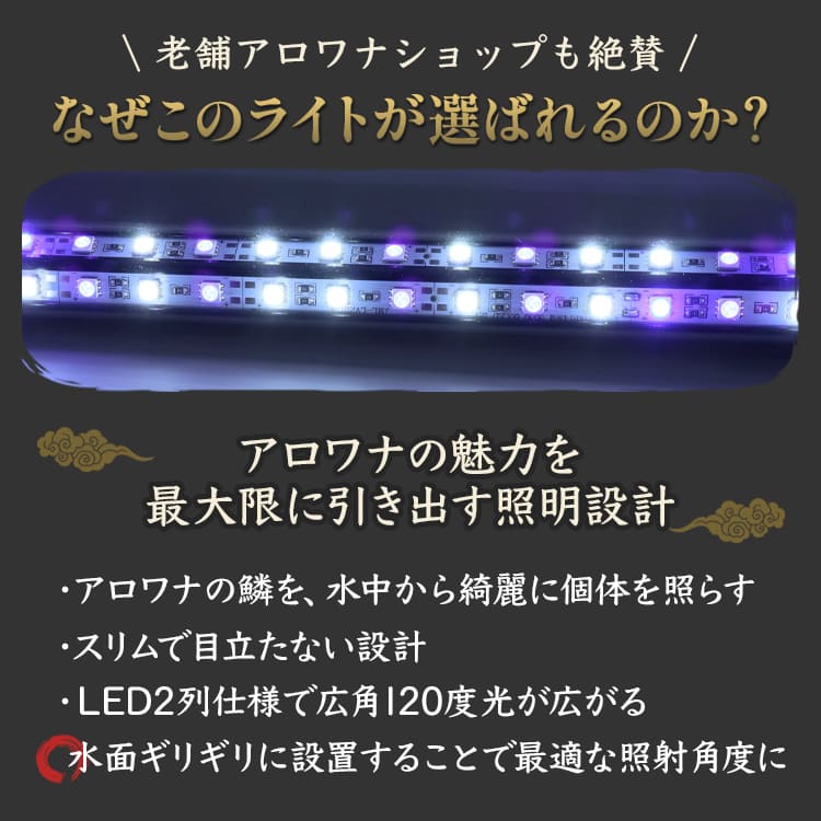 楽天市場】アロワナライト 過背金龍 藍底金龍 水槽ライト テンニング