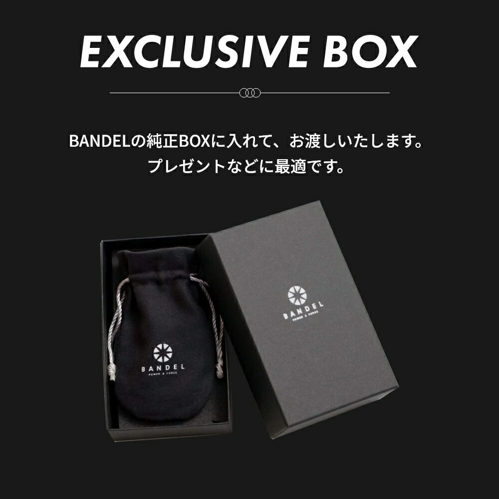 楽天市場】【レビュー特典】選べる2サイズ BANDEL バンデル チタン