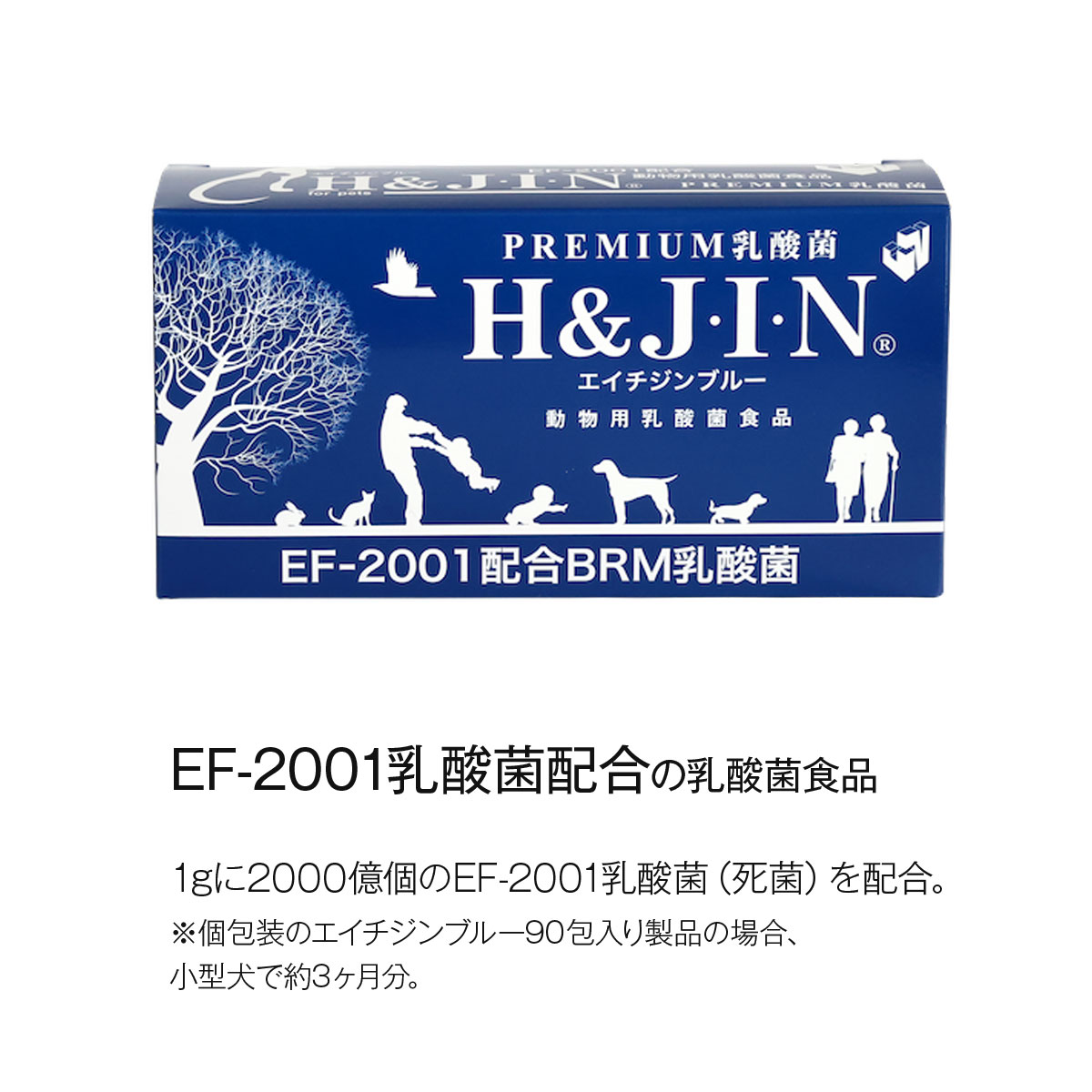 楽天市場】【2/25 要エントリー最大100％ポイントバック】【JIN500円