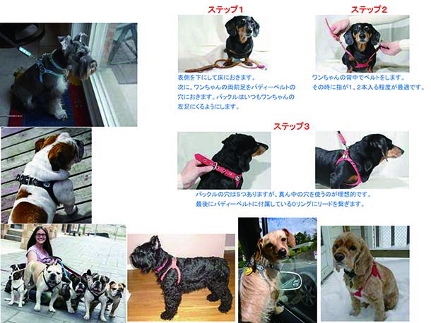 楽天市場】獣医師推奨 BBハーネス バディーベルト 3.5号 ペット 犬