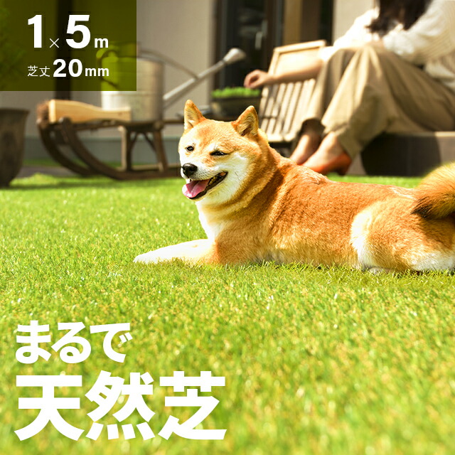 楽天市場】人工芝 ロール ドッグランに最適 1m×5m 芝丈20mm 送料無料
