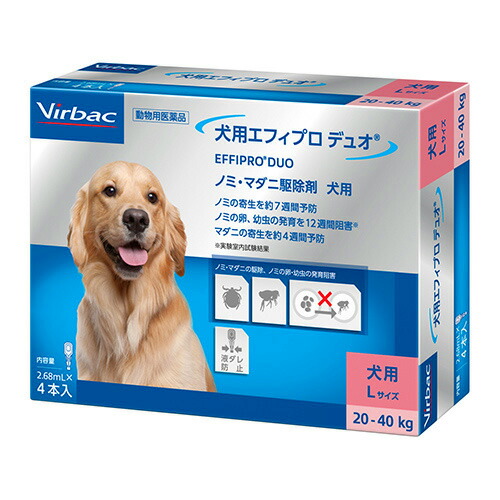 楽天市場】イムノ pro 犬の通販