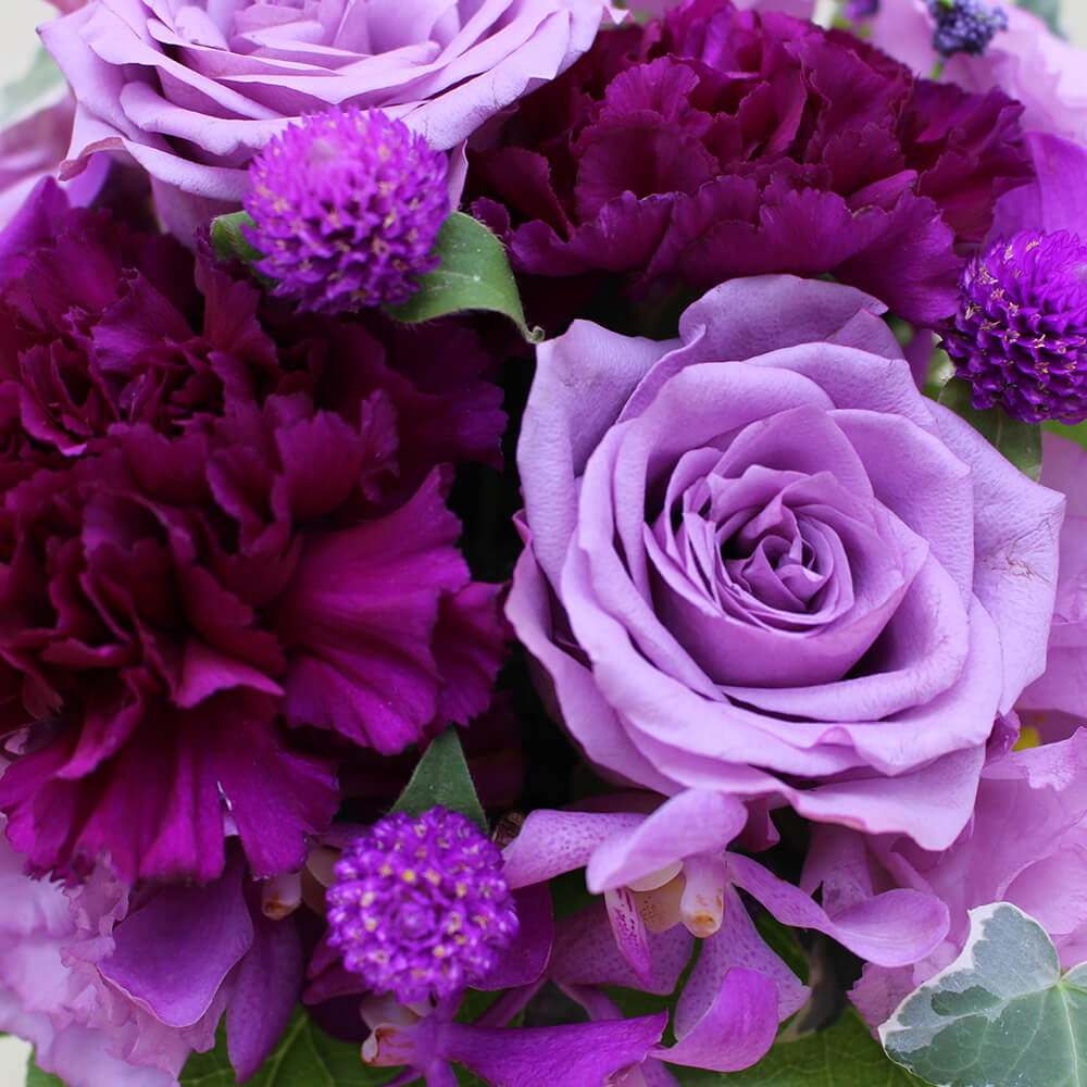 楽天市場】バラ アレンジメント「La rose violette」 プレゼント