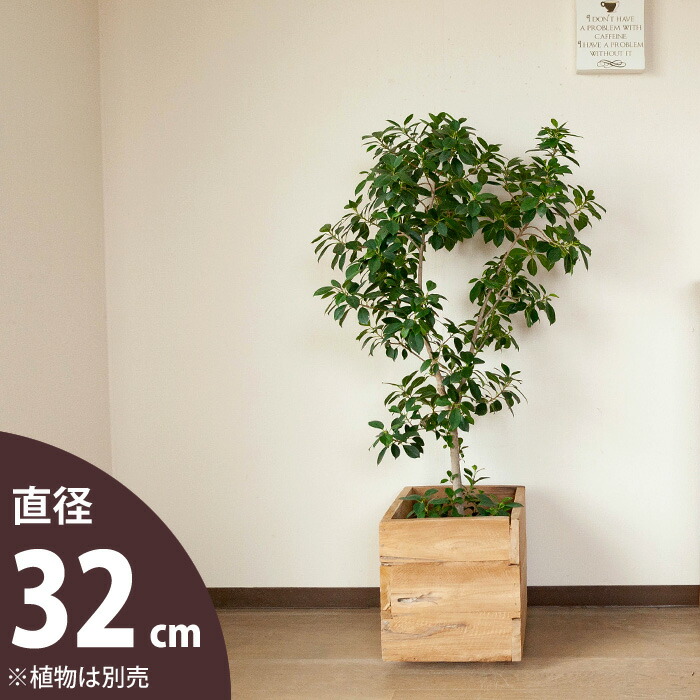 楽天市場】7〜8号サイズの植物向け。おしゃれな木製鉢カバー（32cm