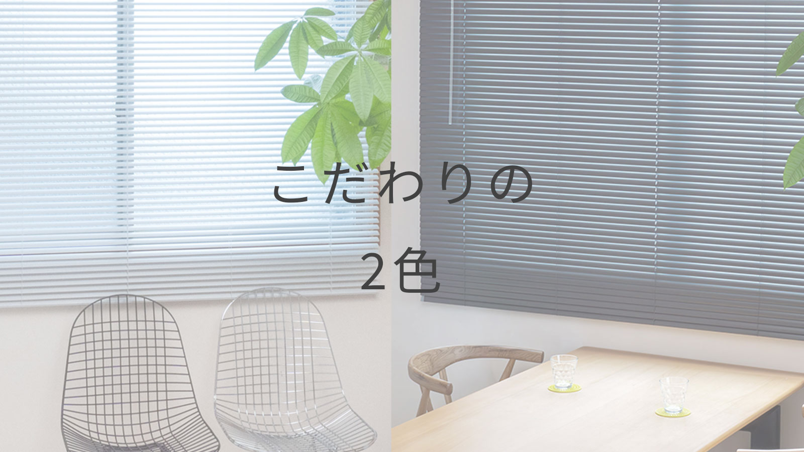 楽天市場 | イージーブラインド 楽天市場店 - 迷わない、こだわりの2色