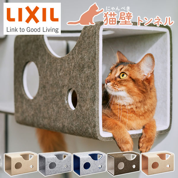 楽天市場】猫壁 トンネル マグネット式 キャットステップ 壁面