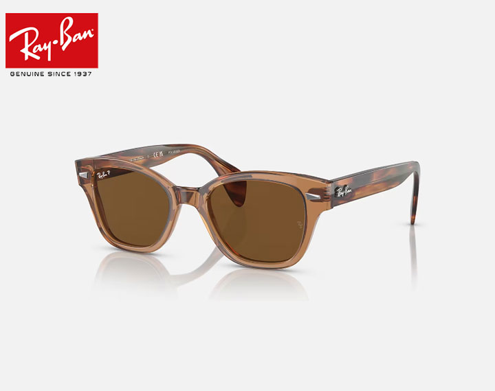 楽天市場】Rayban レイバン RB0880sf-8225 サングラスブラウンフレーム