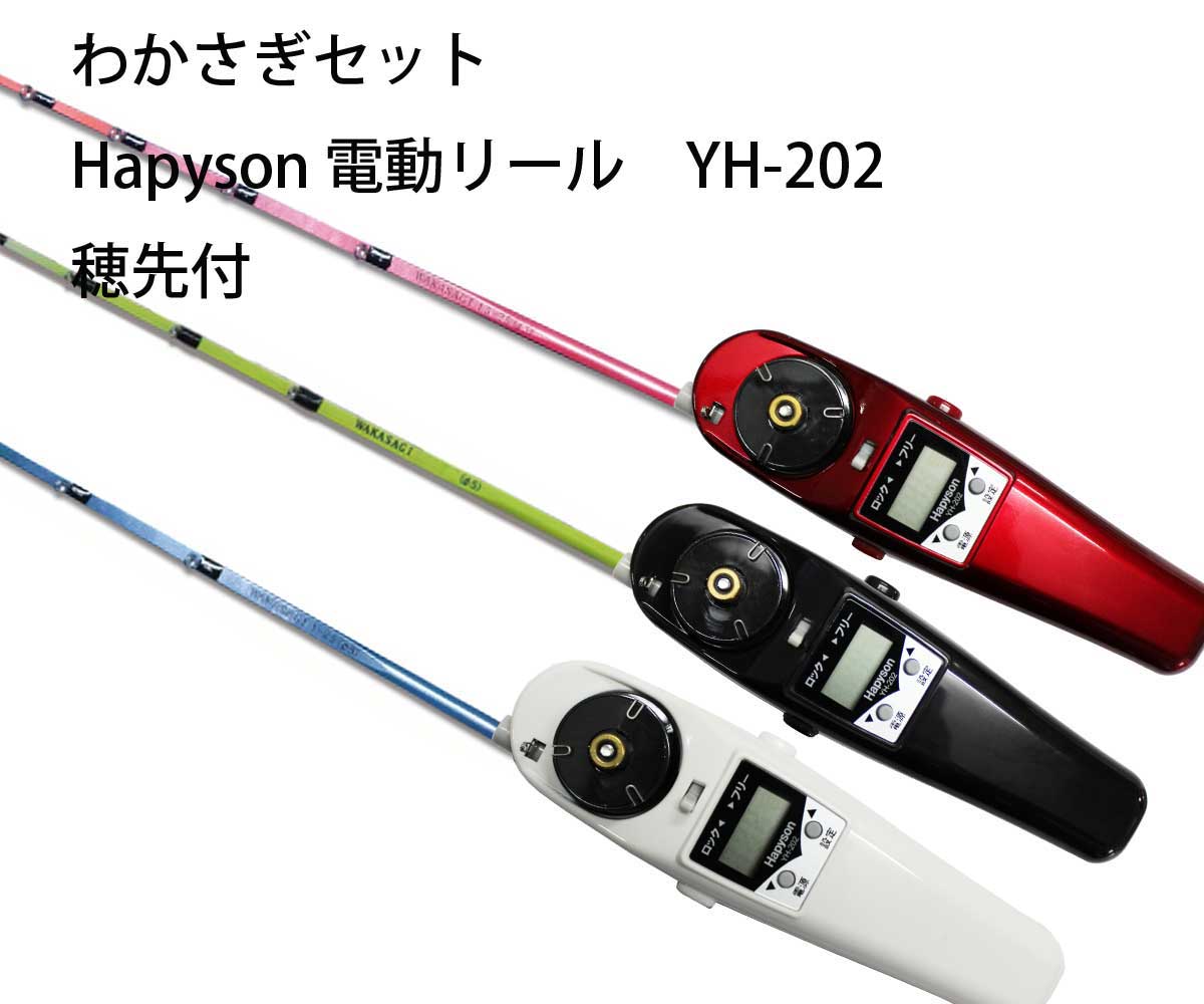 楽天市場】わかさぎセット 極技ワカサギ替え穂先 25cm HAPYSON 電動