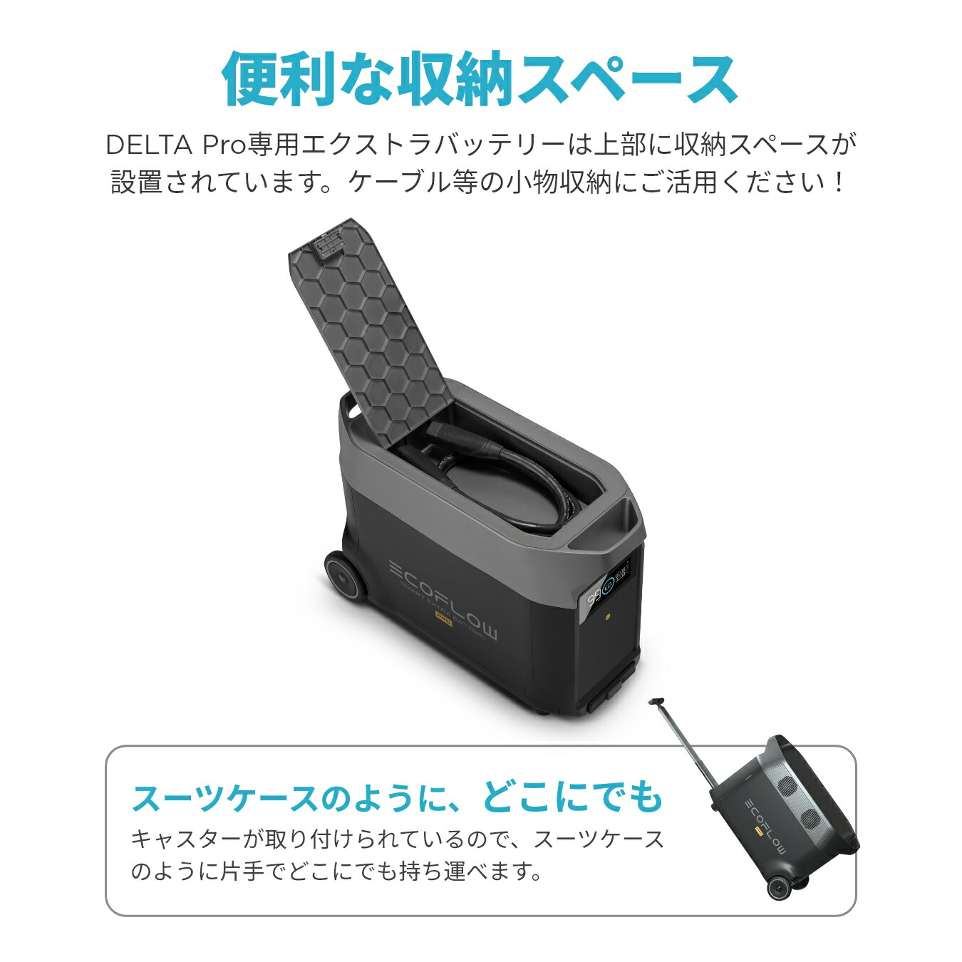 楽天市場】【クーポン利用で181,500円☆2/28~特別セール】EcoFlow