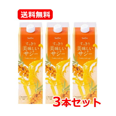 楽天市場】豊潤サジー 1000の通販