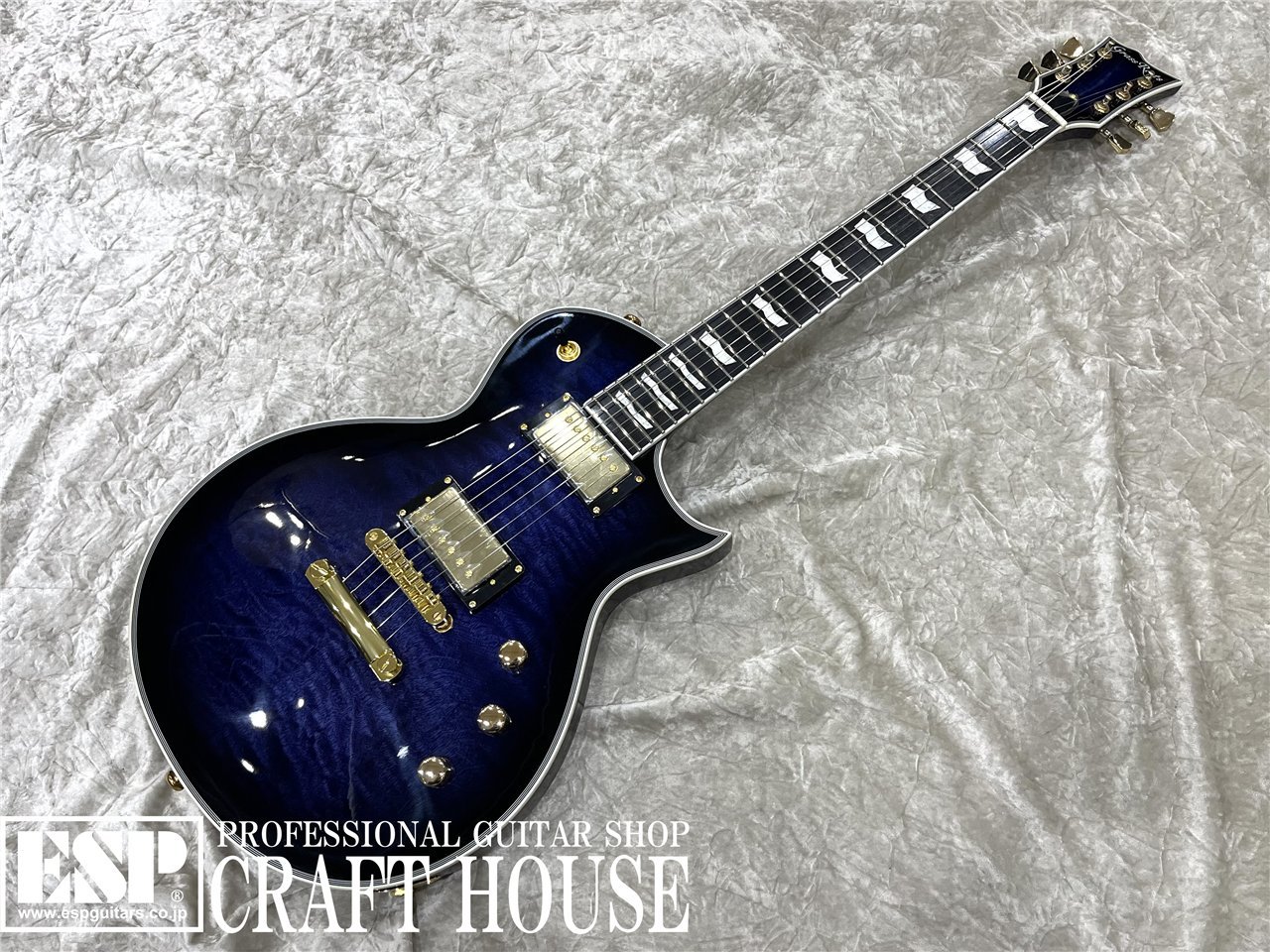楽天市場】GrassRoots G-TE-50M 新品 ブラック[グラスルーツ][ESP