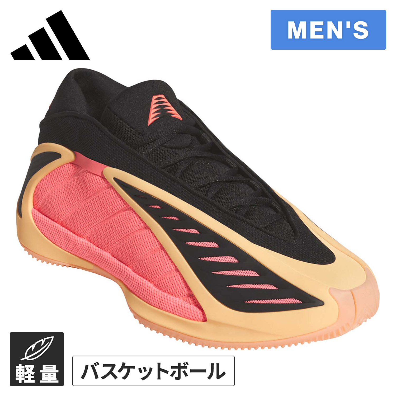 アンソニー・エドワーズ 2」の人気商品一覧 | 安い商品を通販サイト
