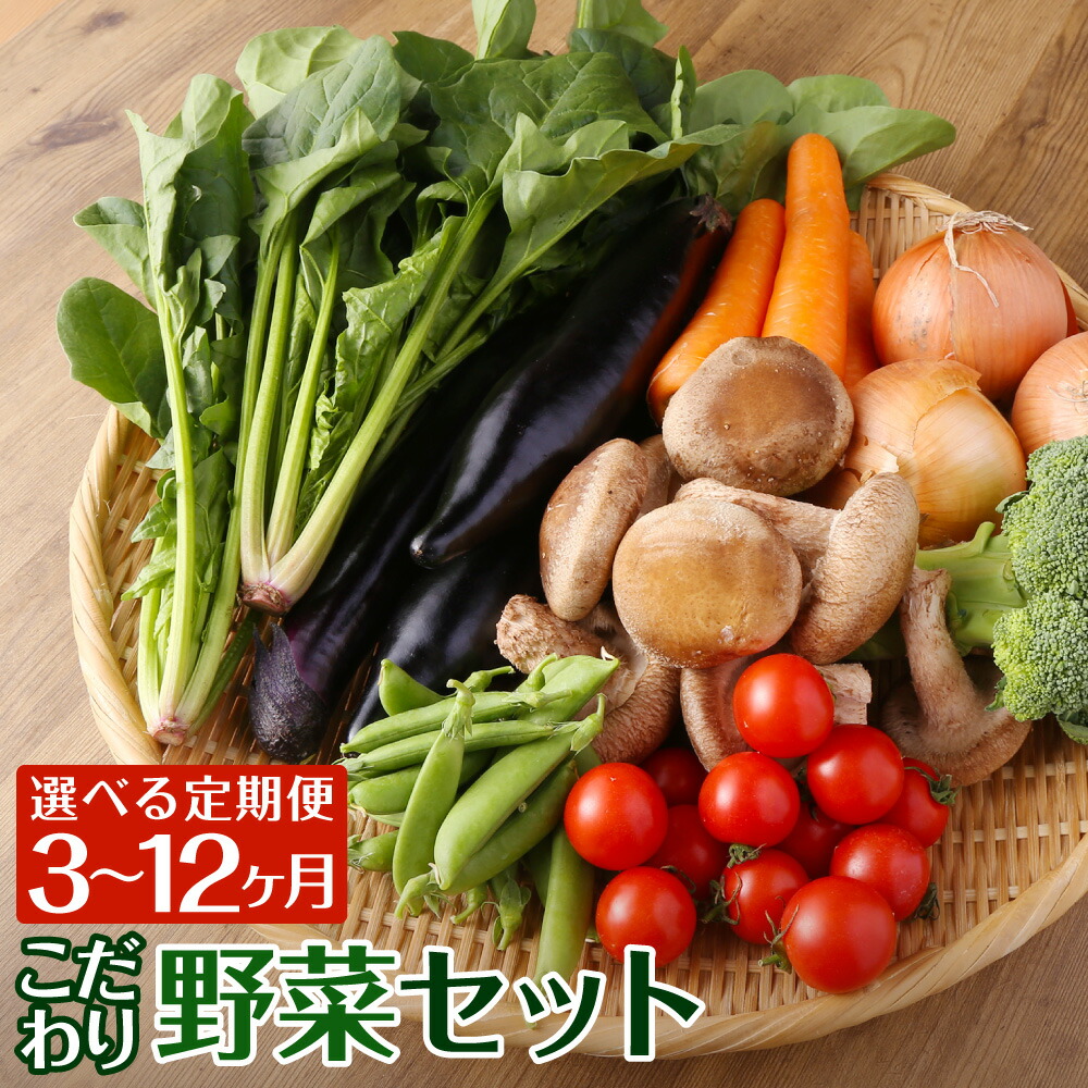 楽天市場】【ふるさと納税】【選べる定期便】野菜のプロ40年が届ける