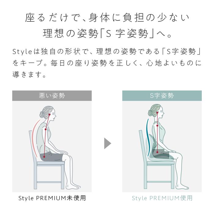 楽天市場】【ふるさと納税】Style PREMIUM | スタイルプレミアム 骨盤