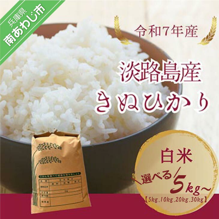 楽天市場】キヌヒカリ 20kgの通販
