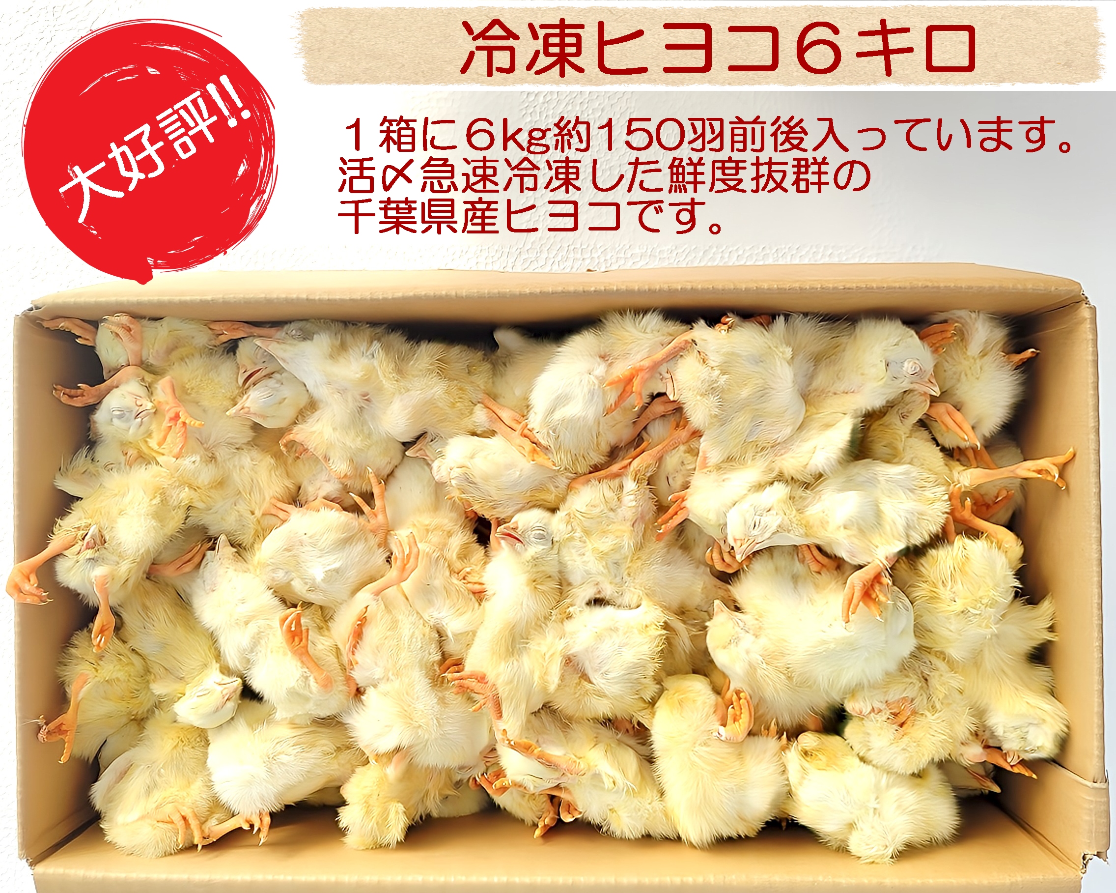楽天市場】国産冷凍ヒヨコ6kg 約150羽分 フクロウ 鷹 ハヤブサ