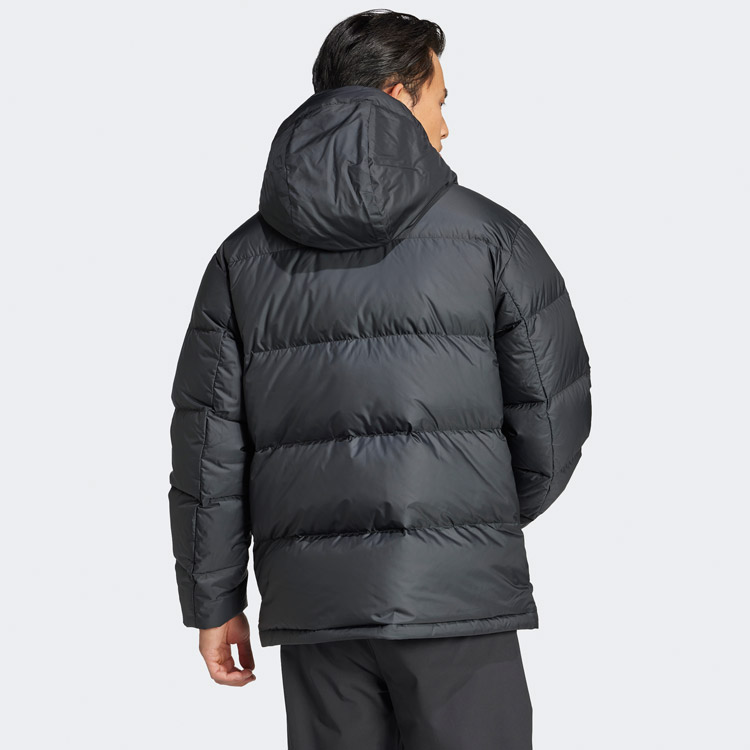 楽天市場】お買い得スペシャルプライス アディダス M TERREX MT GD