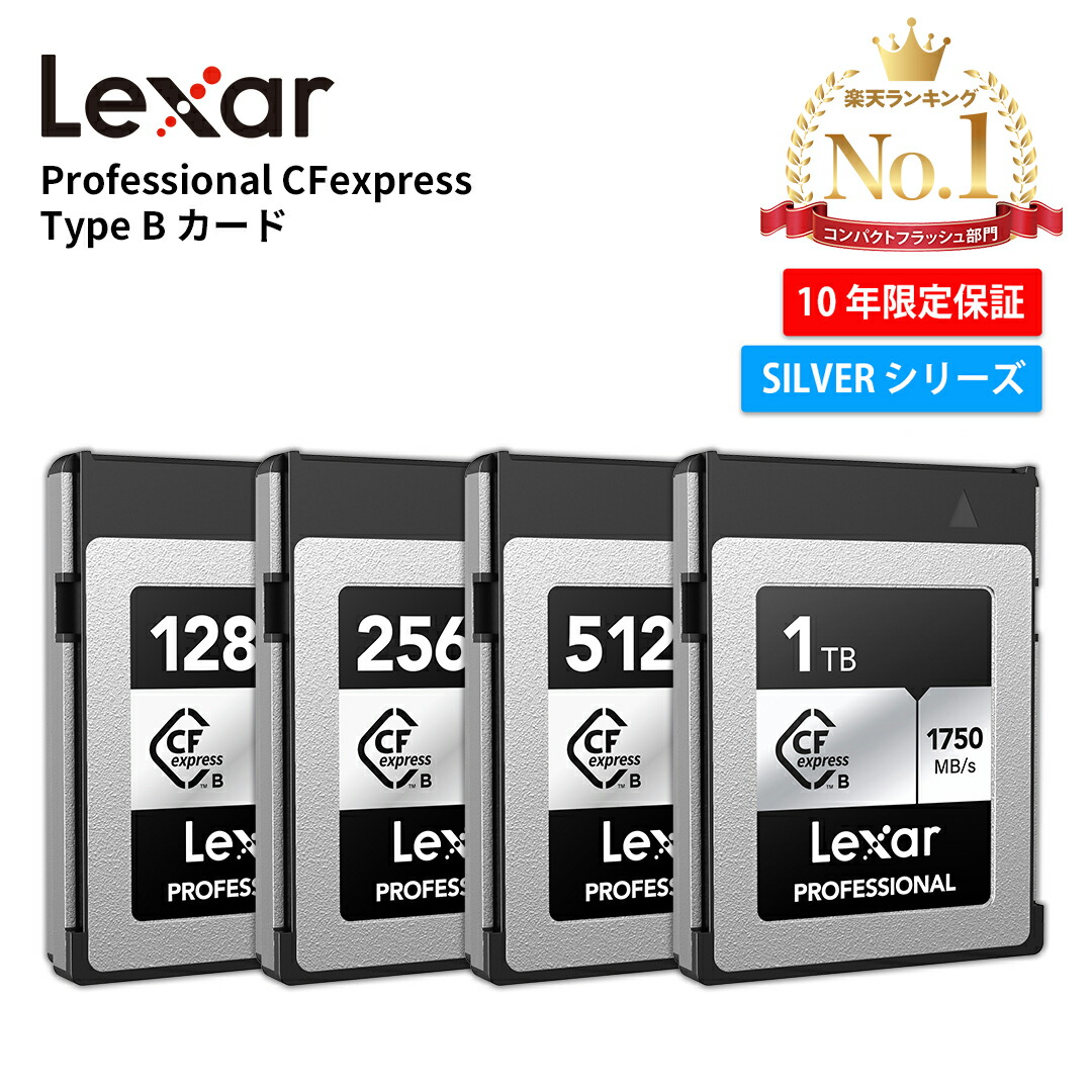 楽天市場】【スーパーSALE限定10％OFF+P5】Lexar Professional