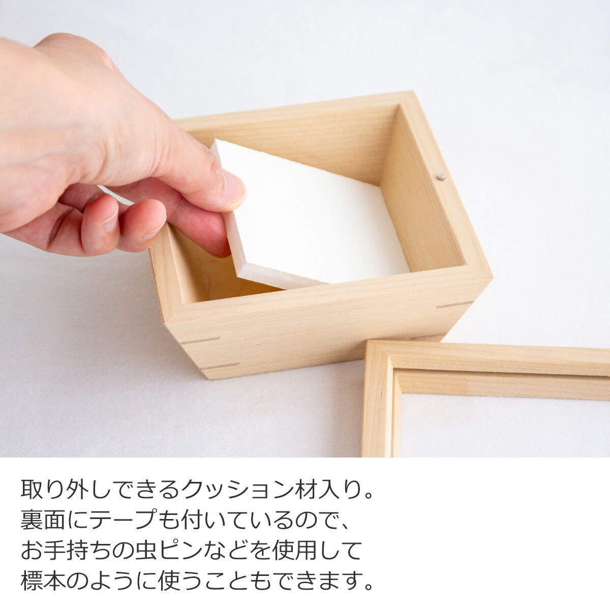 楽天市場】コレクションボックス 木製 S わにもっこ コレクション