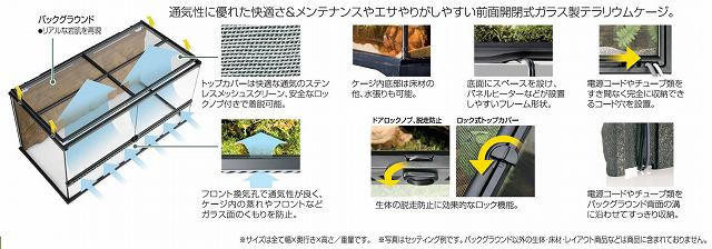 楽天市場】GEX グラステラリウム 4545 爬虫類 飼育 ケージ ガラス