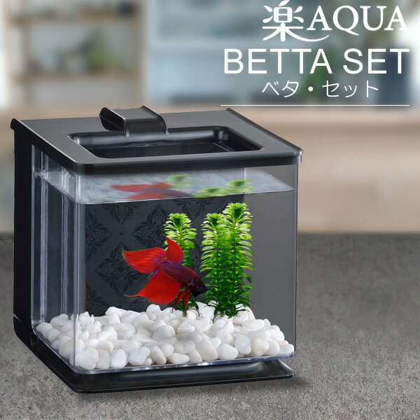 楽天市場】オールインワン ベーシックベタ【水槽セット】 ～楽アクア