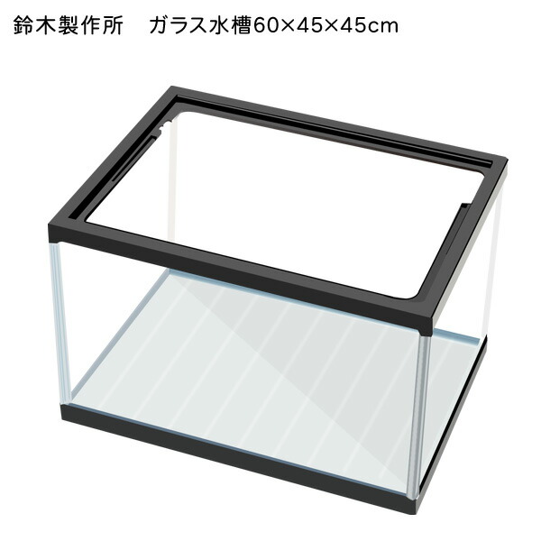 楽天市場】【鈴木製作所】ガラス水槽 60cm水槽 600×450