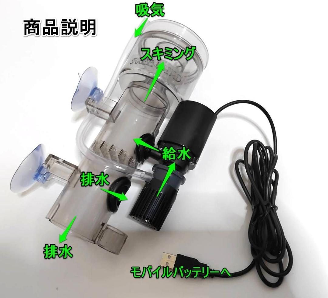 m50712588802_9.jpg