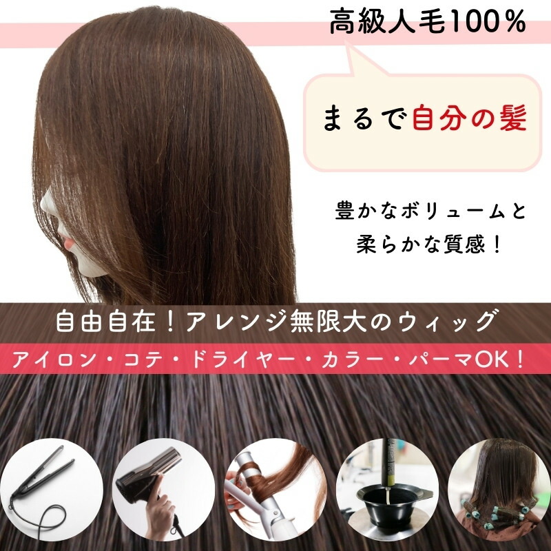 楽天市場】人毛100% フルウィッグ 医療用ウィッグ ウィッグ 人毛 医療