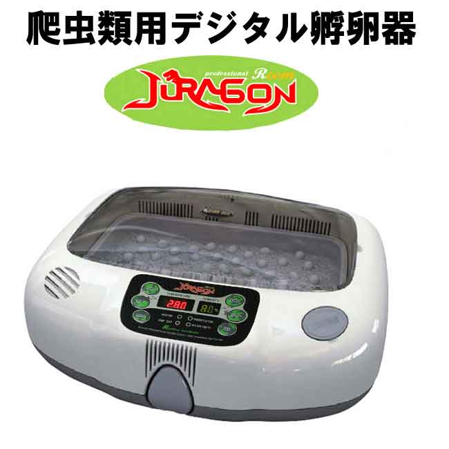 img60498384.jpg