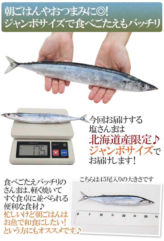 楽天市場】2025年新物！北海道産 ”ジャンボ塩さんま” 45〜55尾前後 約