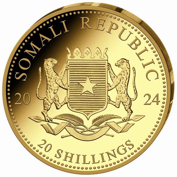 楽天市場】即納・追跡可 2024 0.5グラム ソマリア レオパード 金貨 20