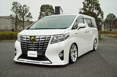 楽天市場】30 アルファード 前期 フロントリップスポイラー 塗装済み