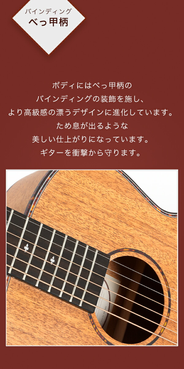 楽天市場】【初心者定番9点セット】ELVISエルビス Master Mini 10