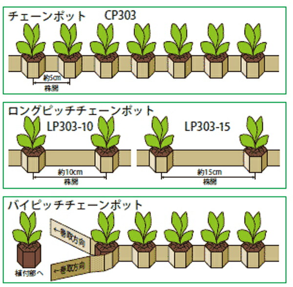 楽天市場】播種育苗用資材 チェーンポット CP-303 150冊 箱売り ネギ