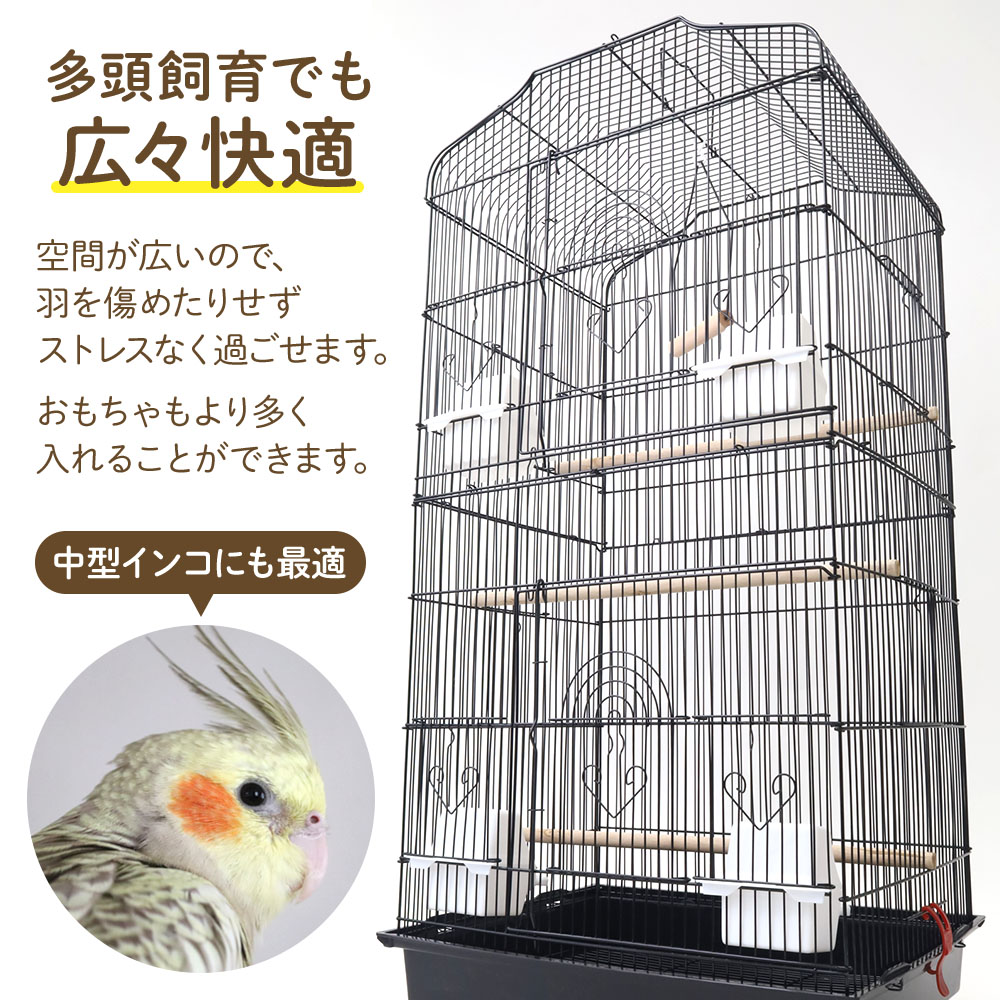 楽天市場】【 半額 & P2倍 】3/1(日)0時～24H限定☆ 鳥かご 鳥籠 大型