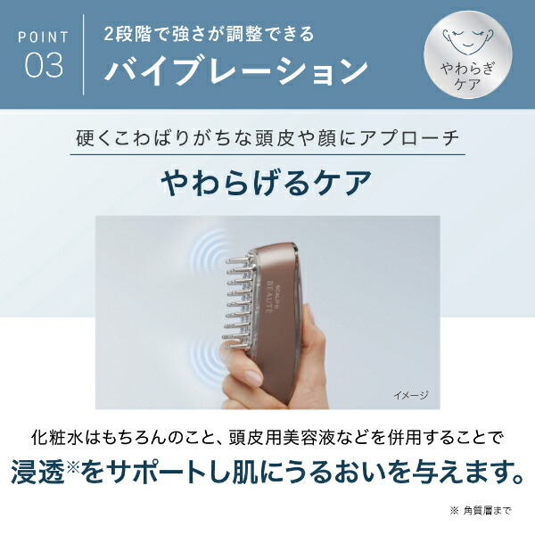 ANGFA SCALP D BEAUTE 美顔器 【公式通販】