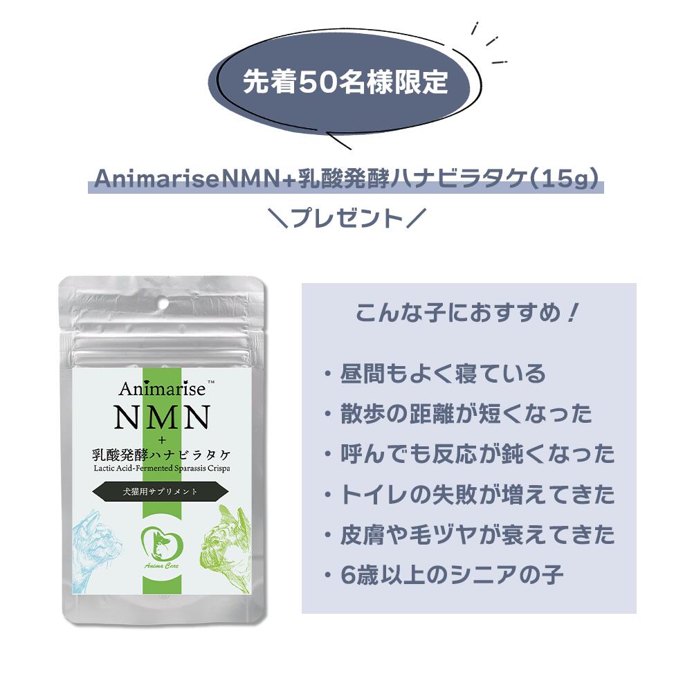 楽天市場】【1000円OFFクーポン付き】パンフェノン 動物用健康補助食品